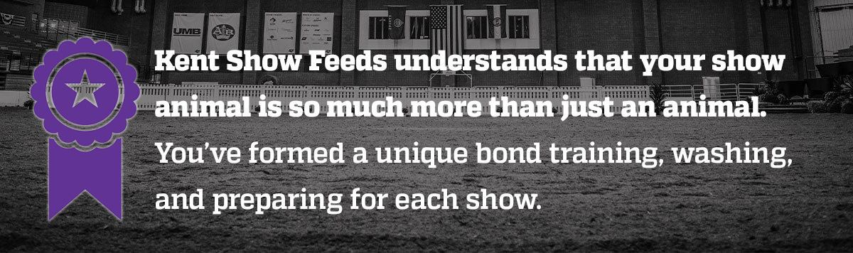 kent-understands-intro-box_PURPLE