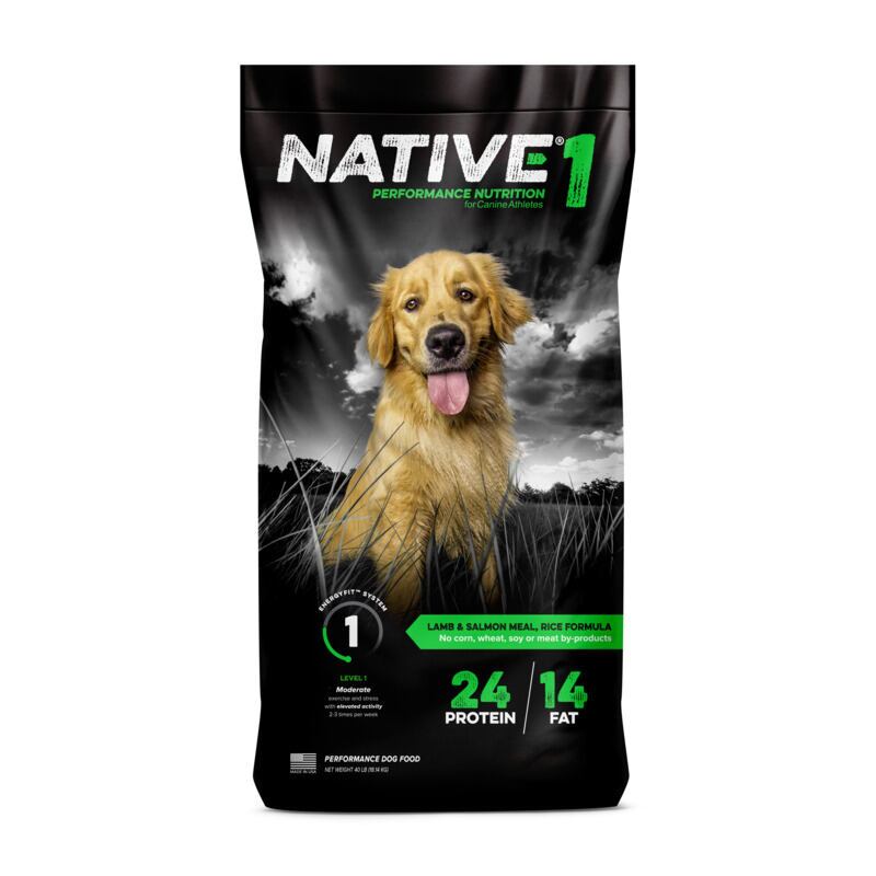 Native Level 1