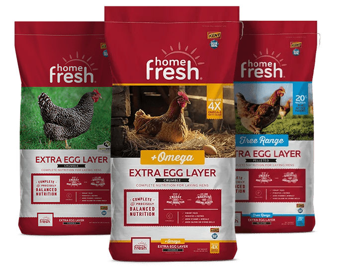 Group of Chicken Feed, Home Fresh Extra Egg Layer +Omega and Free Range