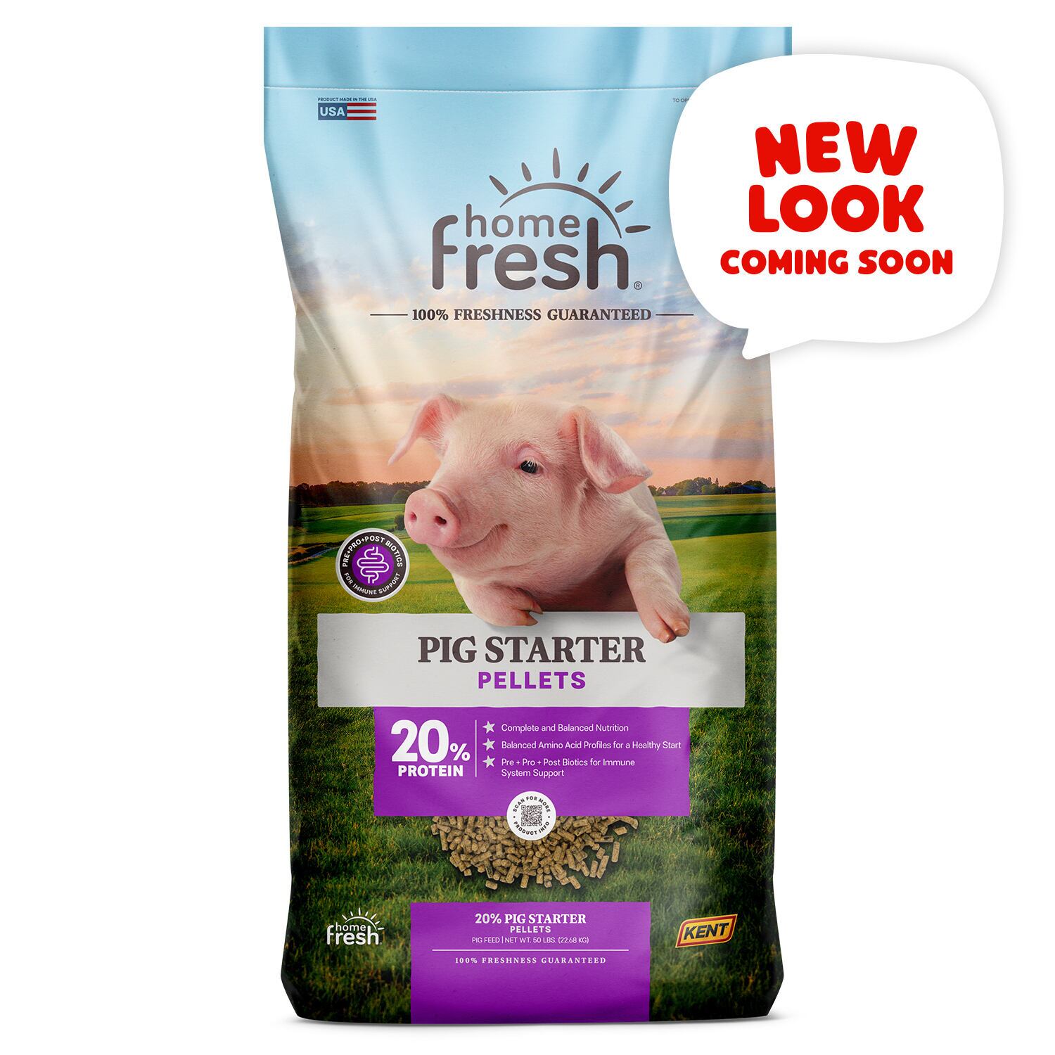 Home Fresh Pig Starter