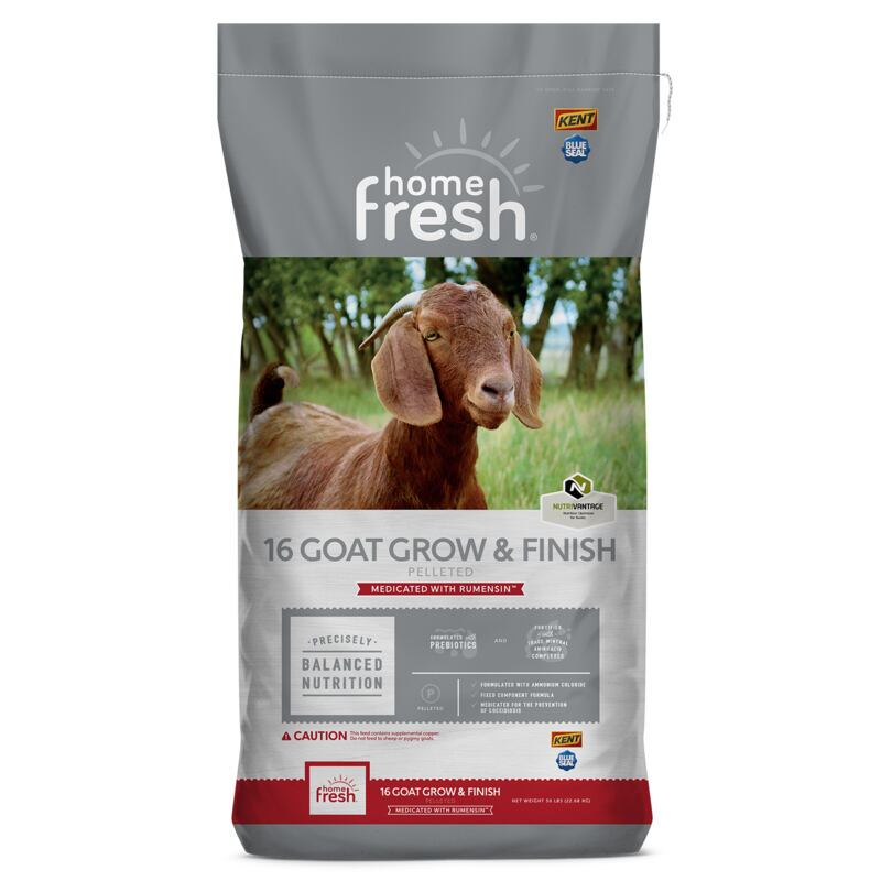 Home Fresh 16 Goat Grow & Finish 20R