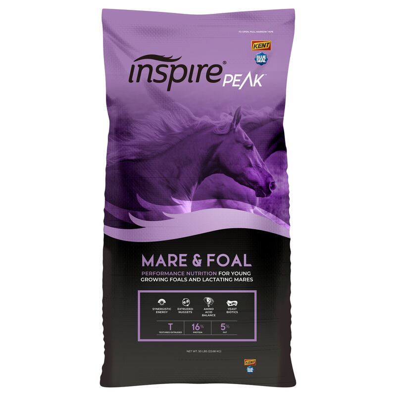 Inspire PEAK Mare & Foal