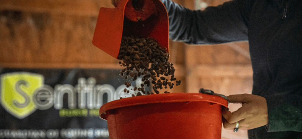 KNG-SentinelEquineNurture-1-1_1024