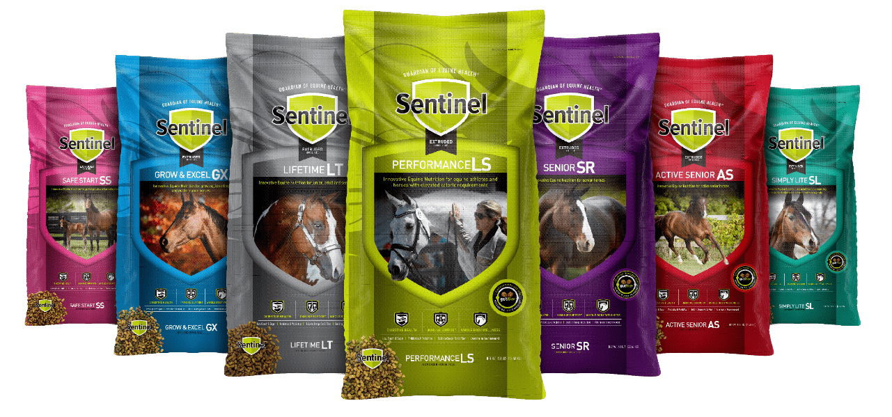 Sentinel Premium Horse Feed
