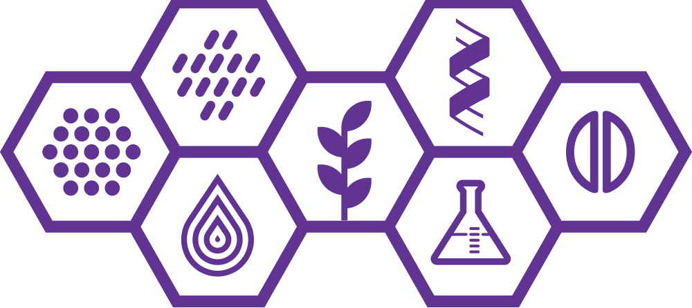 fixed-comp-formula-purple