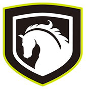 Whole Body Wellness icon