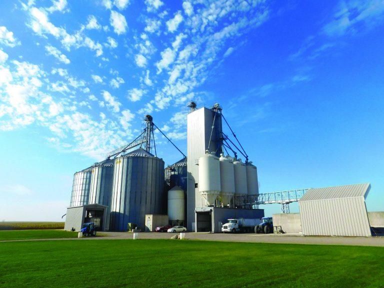 2016_DeluxePlantCOLOR-768x576 2016 DeluxePlantCOLOR 768x576