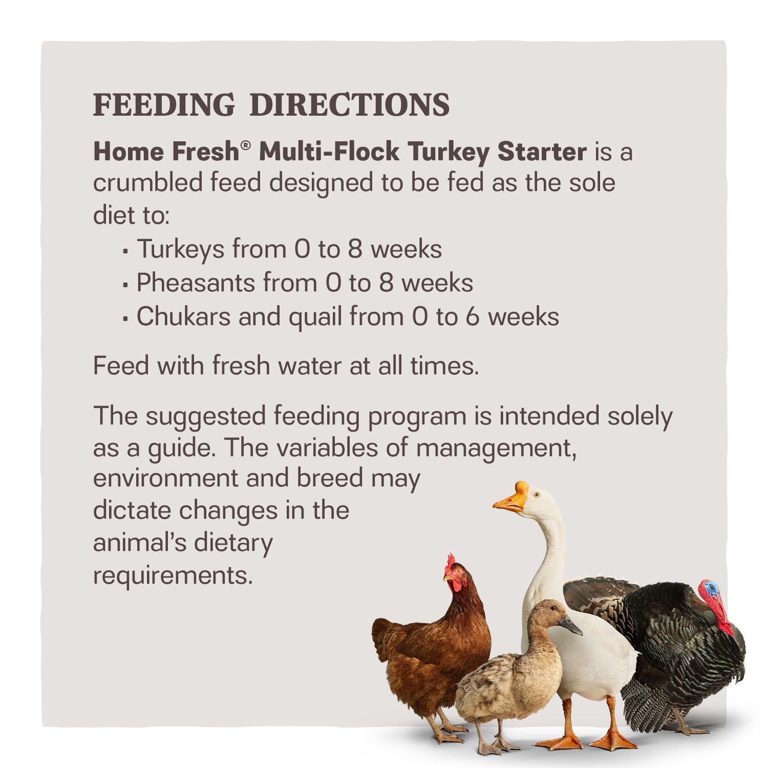 Home Fresh Multi-Flock Turkey Starter