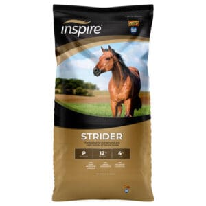 Inspire Strider