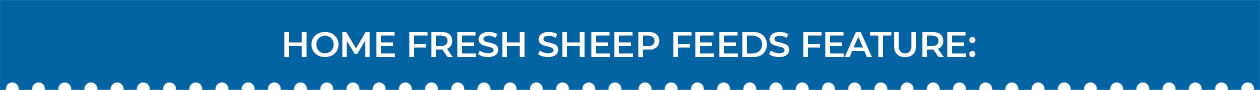 Blue Seal Home Fresh Sheep