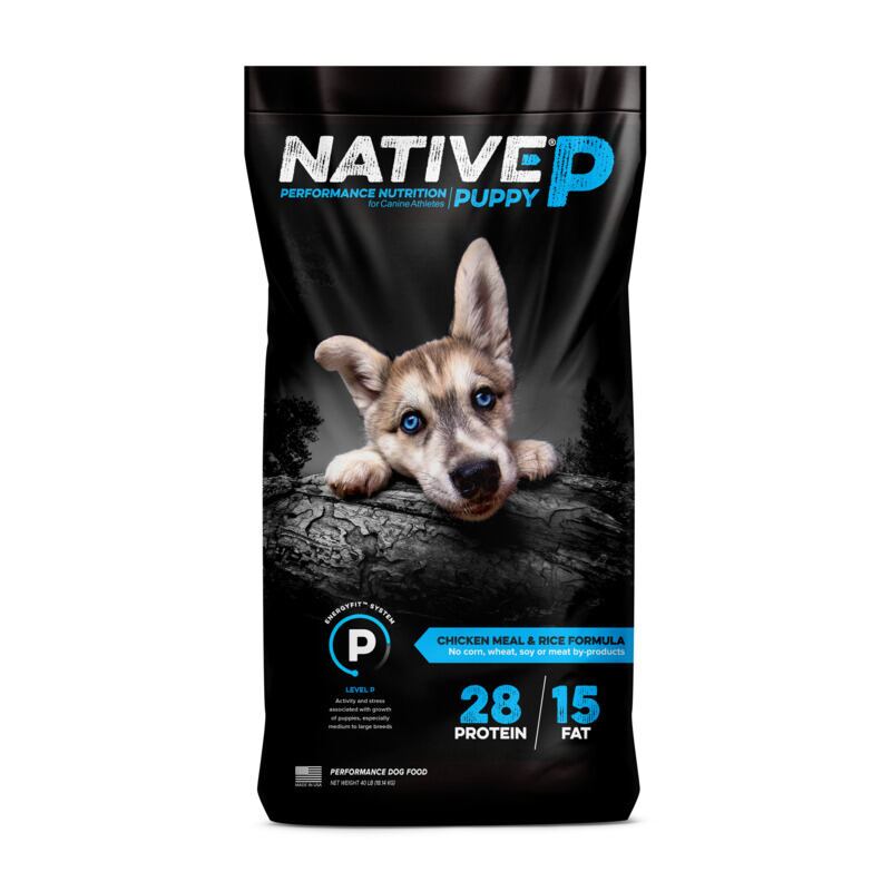 Native Puppy