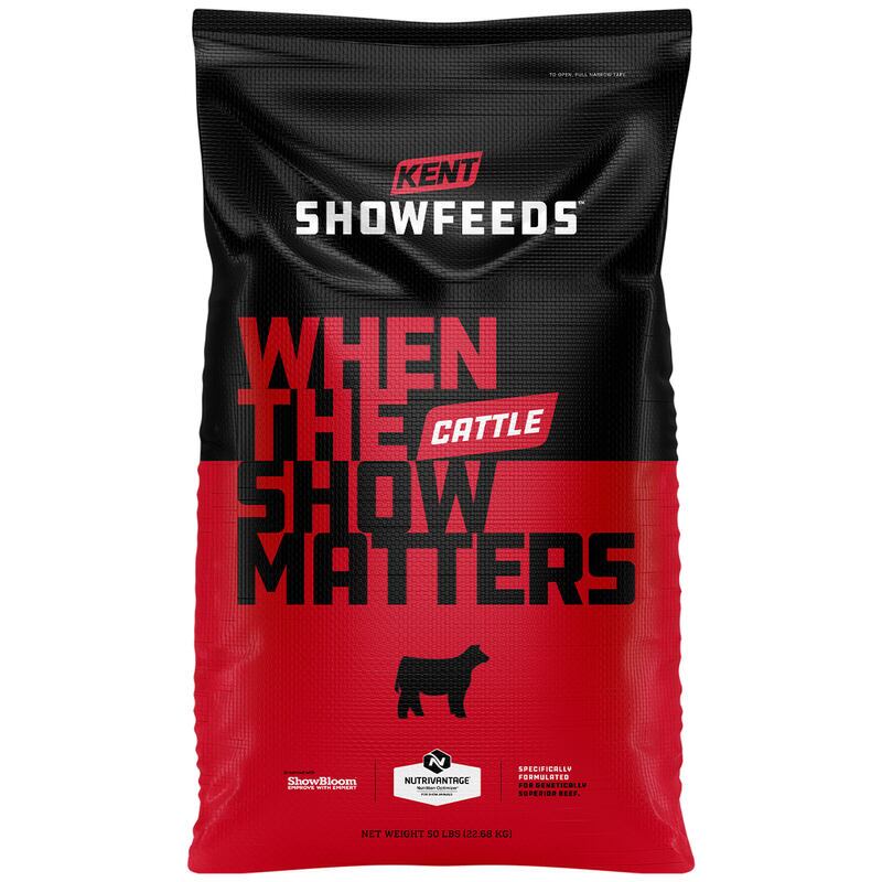 Show Cattle Encore