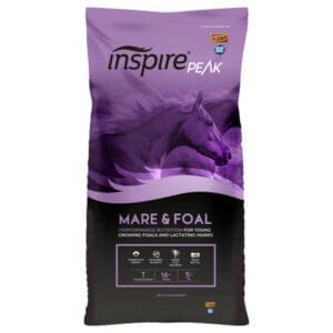 Inspire PEAK Mare & Foal