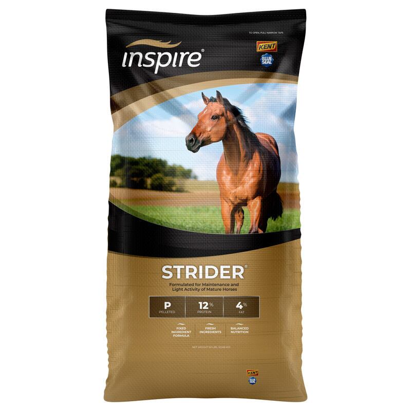 Inspire Strider