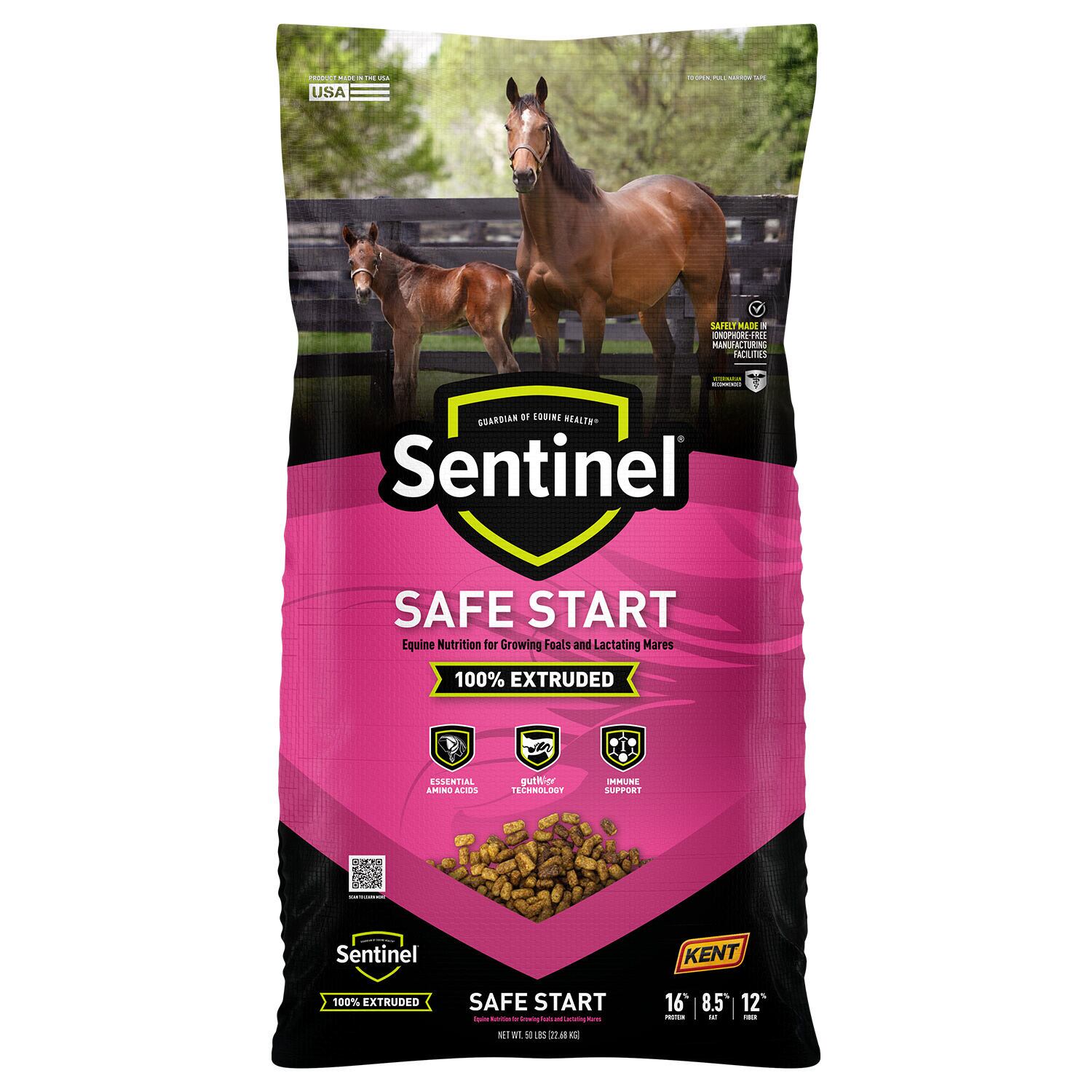 Sentinel Safe Start
