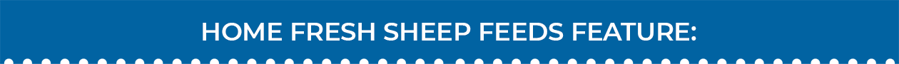 Blue Seal Home Fresh Sheep
