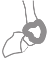 inspire peak-stable vitamins minerals icon