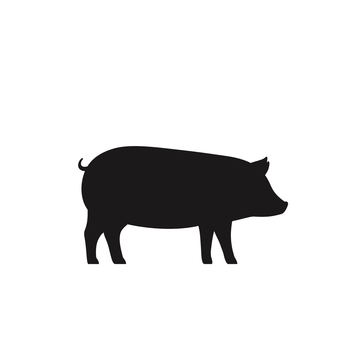 Swine