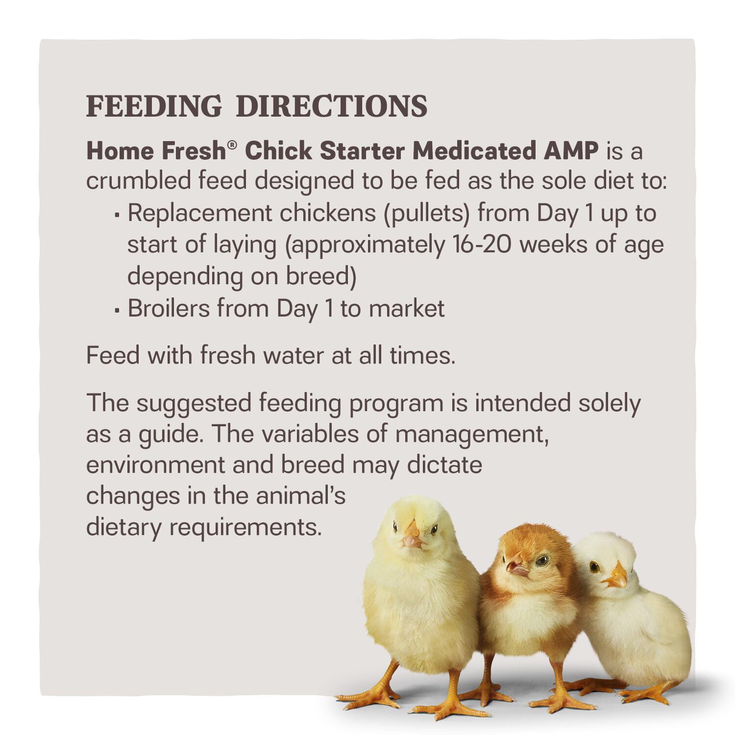Home Fresh Chick Starter AMP