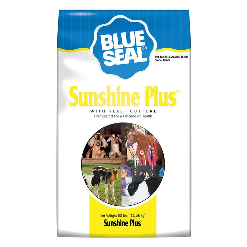Sunshine Plus