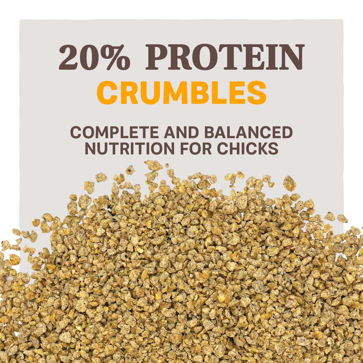 Home Fresh Chick Starter