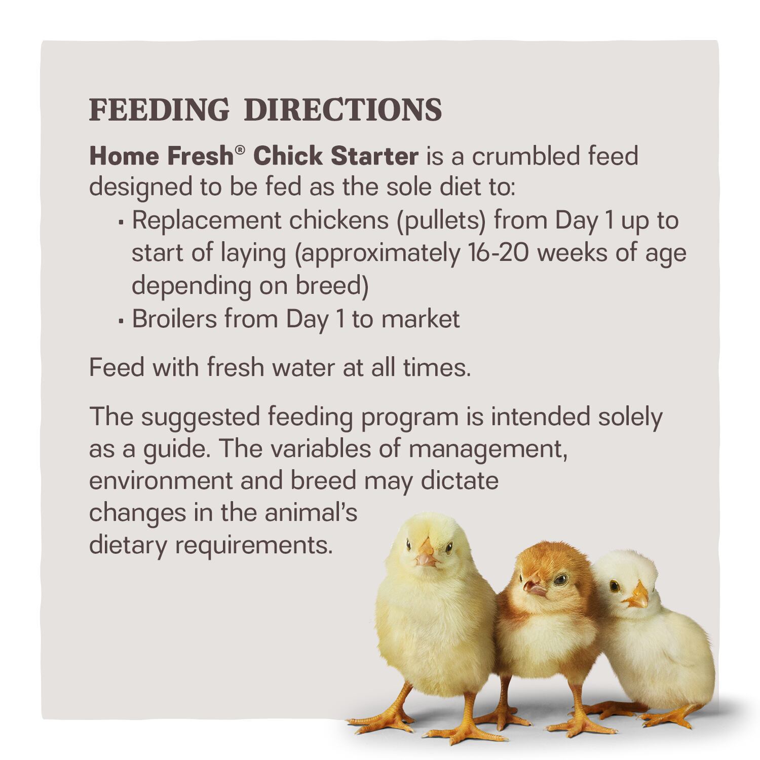 Home Fresh Chick Starter