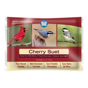 Cherry Suet Cake
