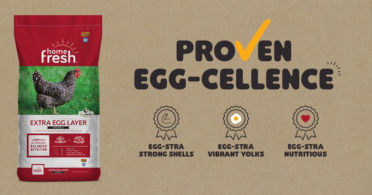 Better Eggs, Lower Cost Home Fresh Extra Egg Layer Feed Delivers on Both
