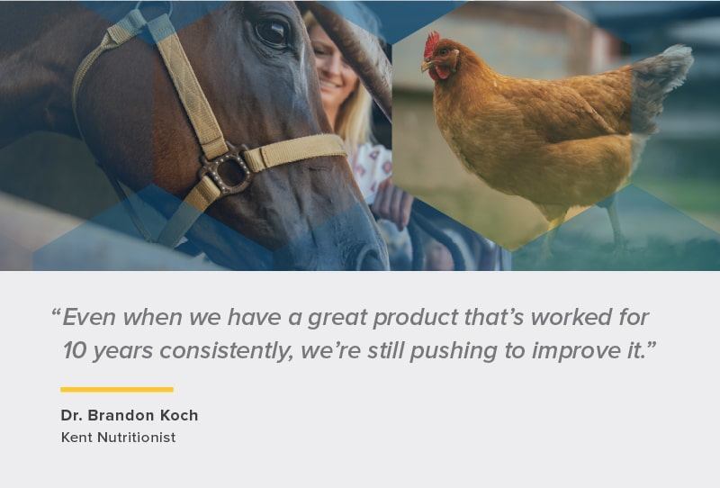 quote about research by Nutritionist Dr. Brandon Koch