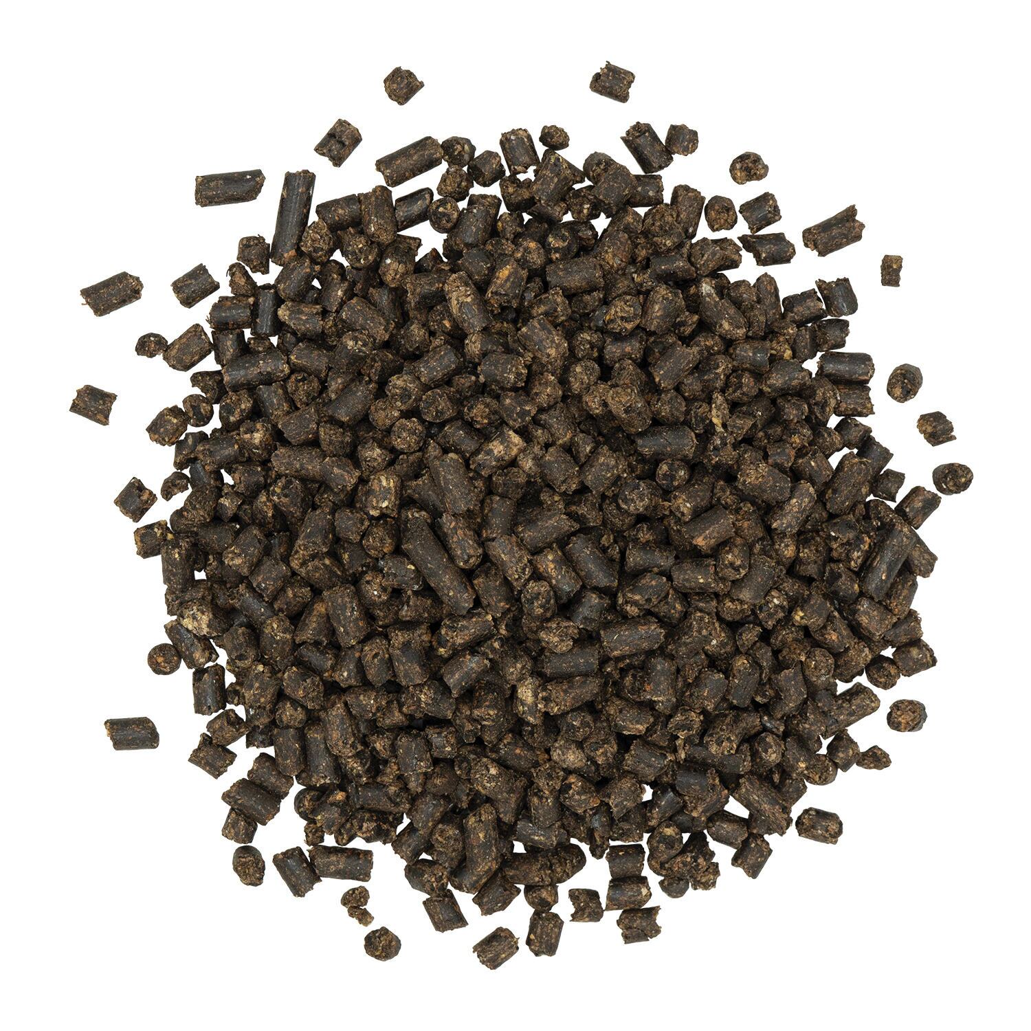 Sentinel Care BrightLife