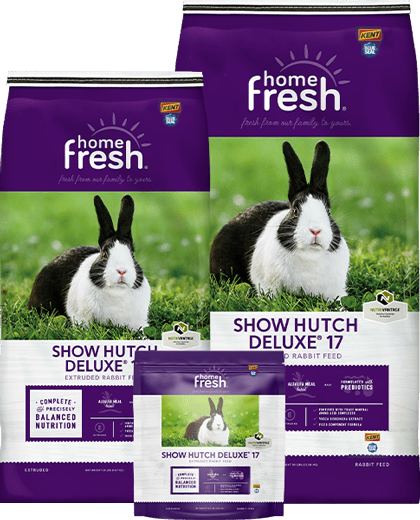 USB-home-fresh-lockup-ShowHutchDeluxe17Sizes_420