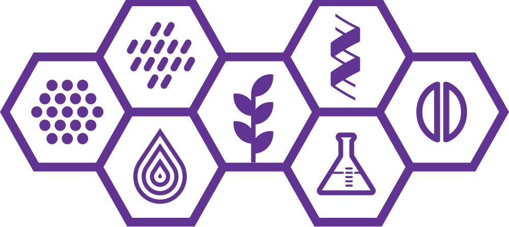 fixed-comp-formula-purple