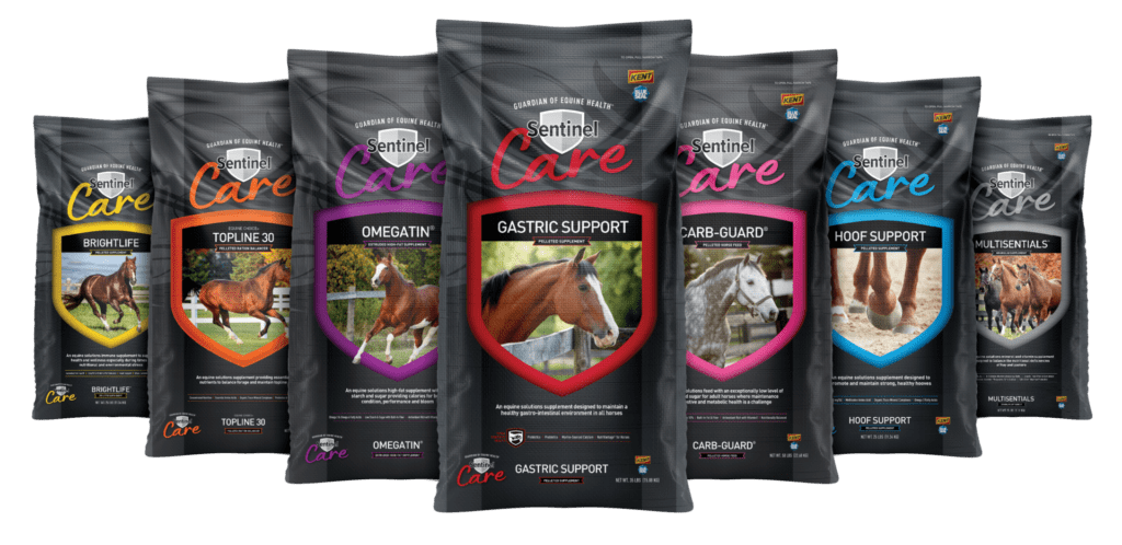 Sentinel Care Full Lineup of Horse products