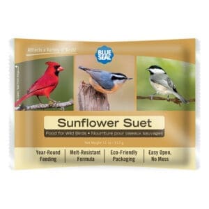 Sunflower Suet Cake