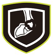 Joint Support icon