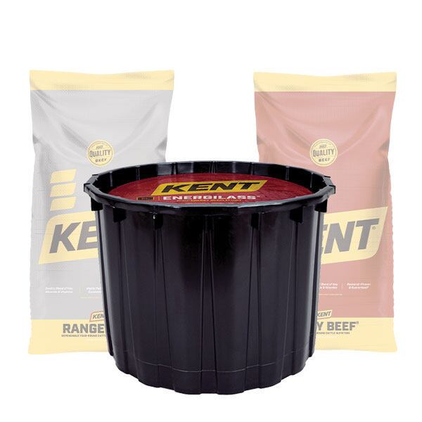 KENT Beef EngergiLass