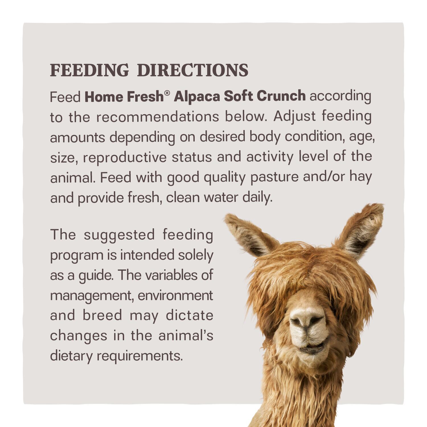 Home Fresh Alpaca Soft Crunch