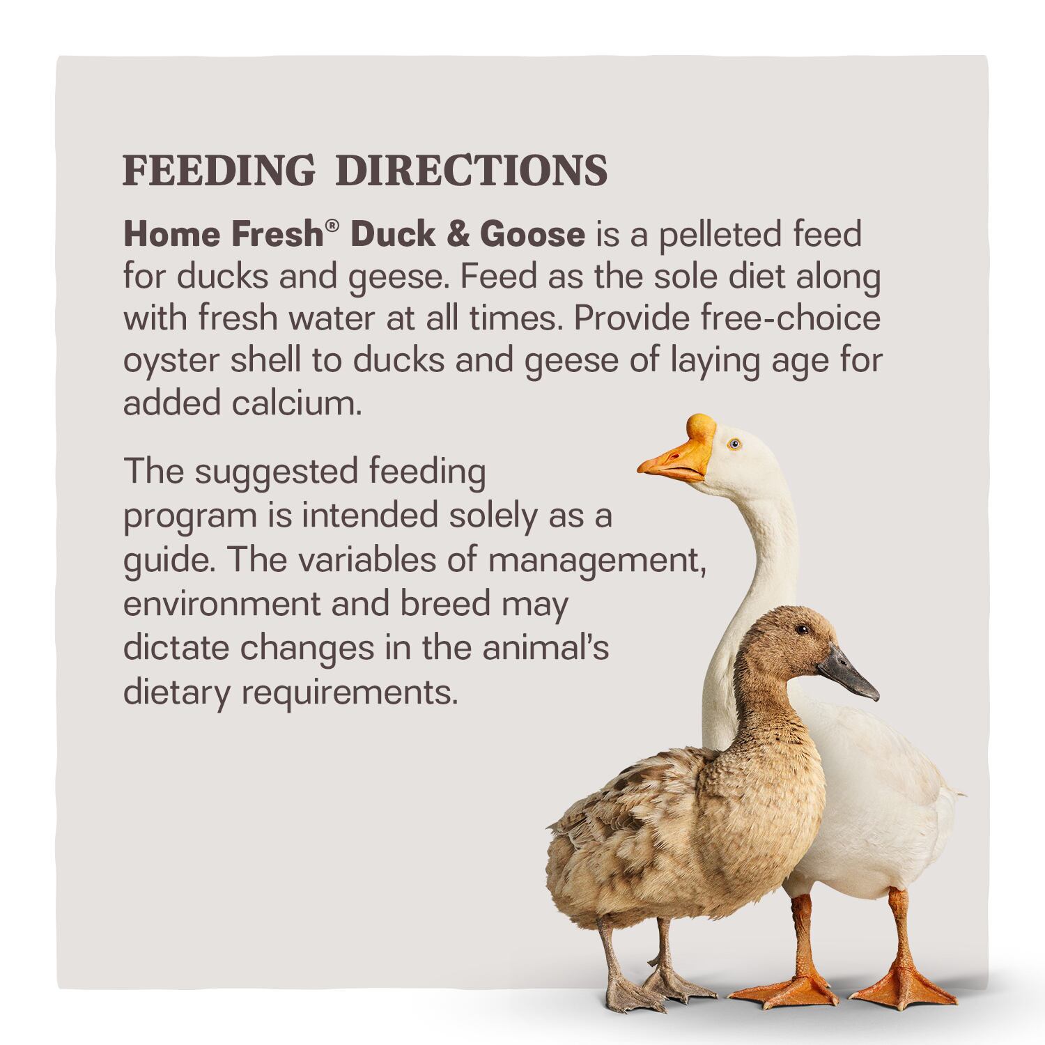 Home Fresh Duck & Goose