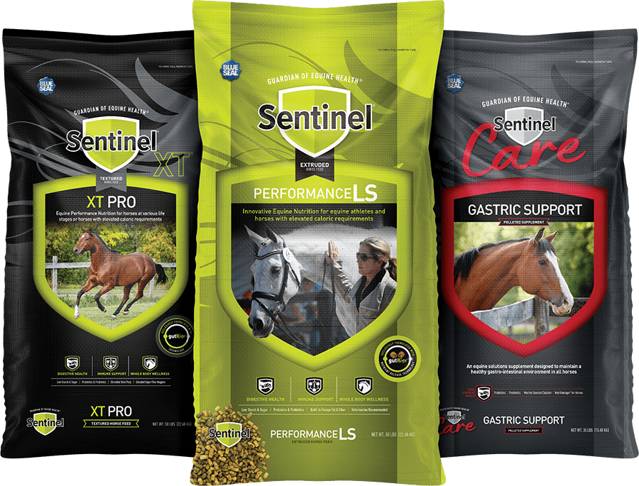 Sentinel Horse feed brand logo