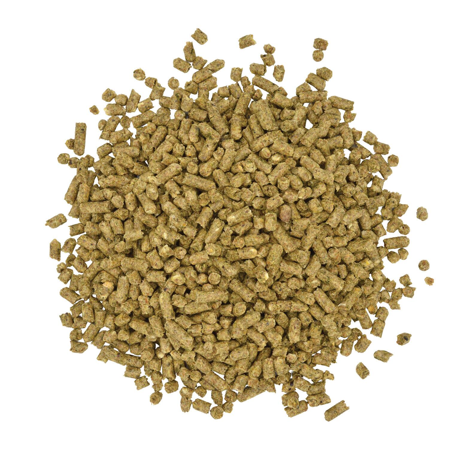 Sentinel Carb-Guard