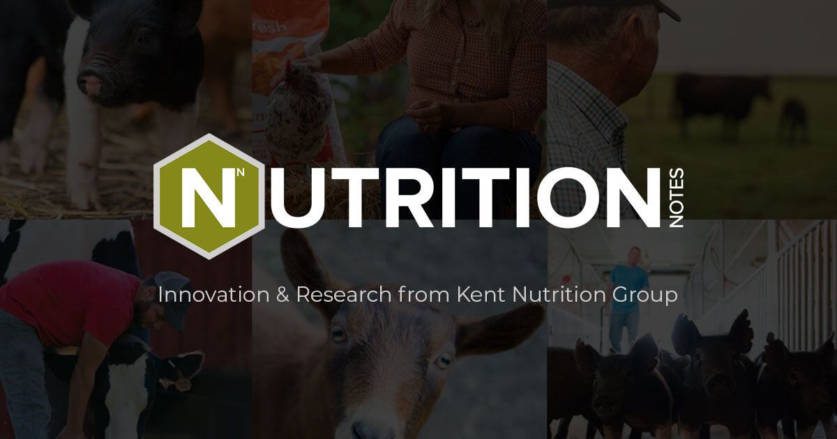 KENT Nutrition
