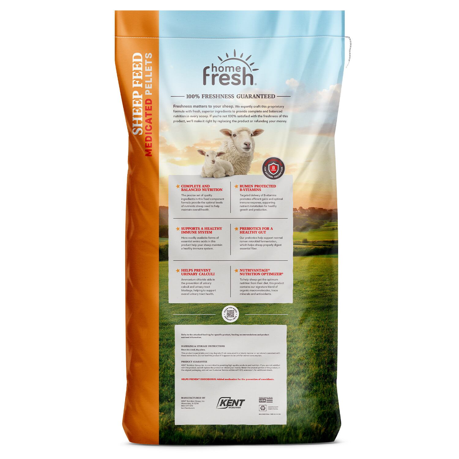 Home Fresh 20 Sheep Starter Grower 45DQ