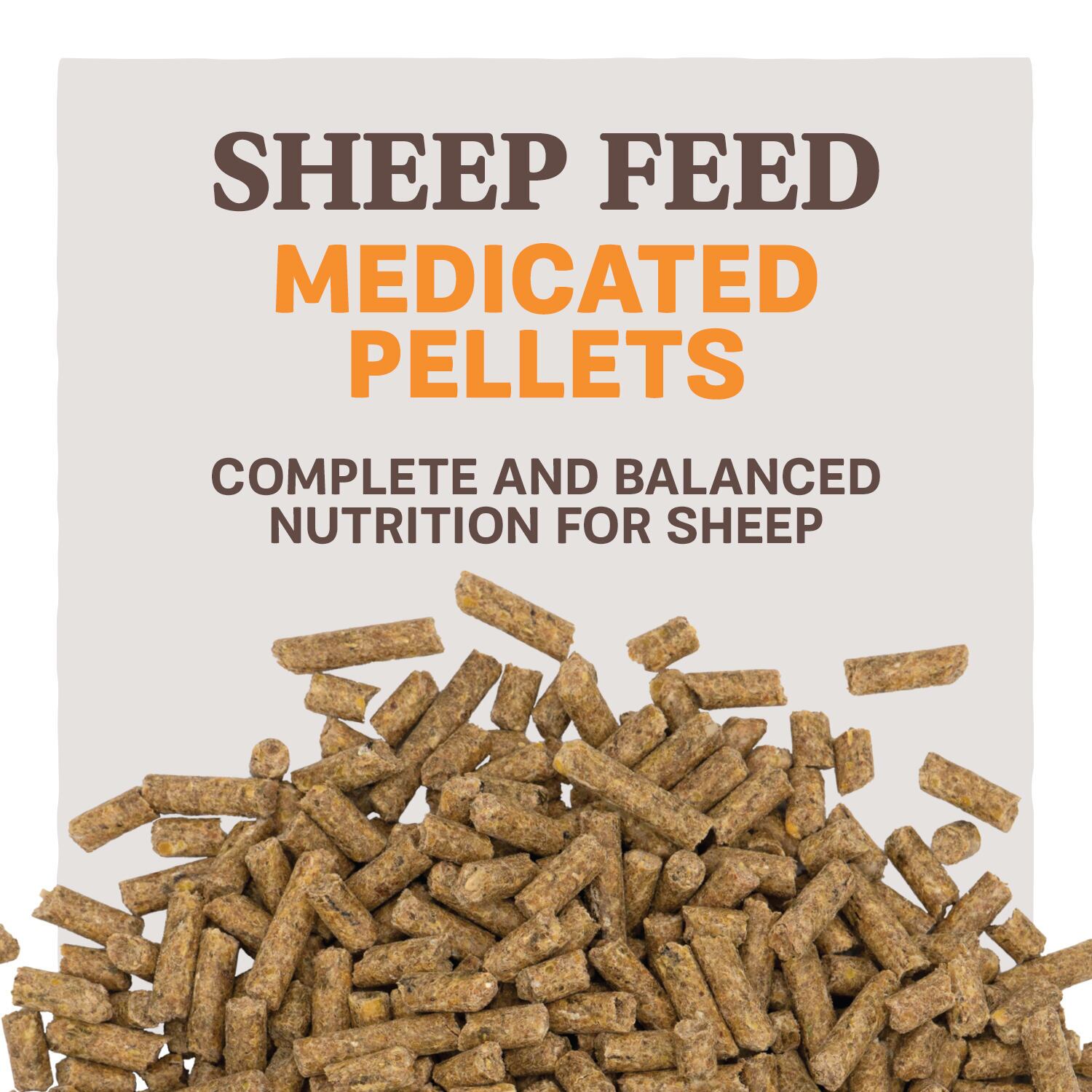 Home Fresh 20 Sheep Starter Grower 45DQ