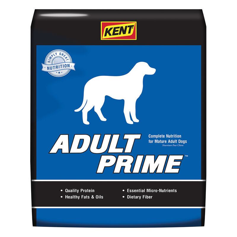 Adult Prime