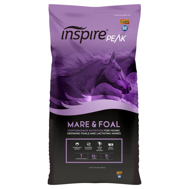 Inspire PEAK Mare & Foal