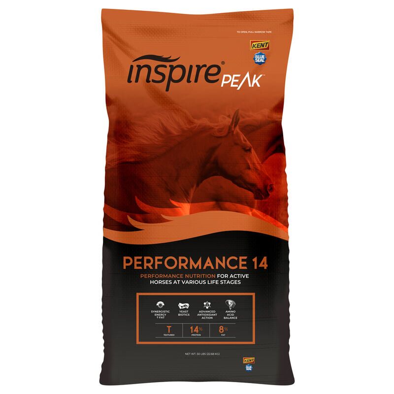 Inspire PEAK Performance 14 Textured
