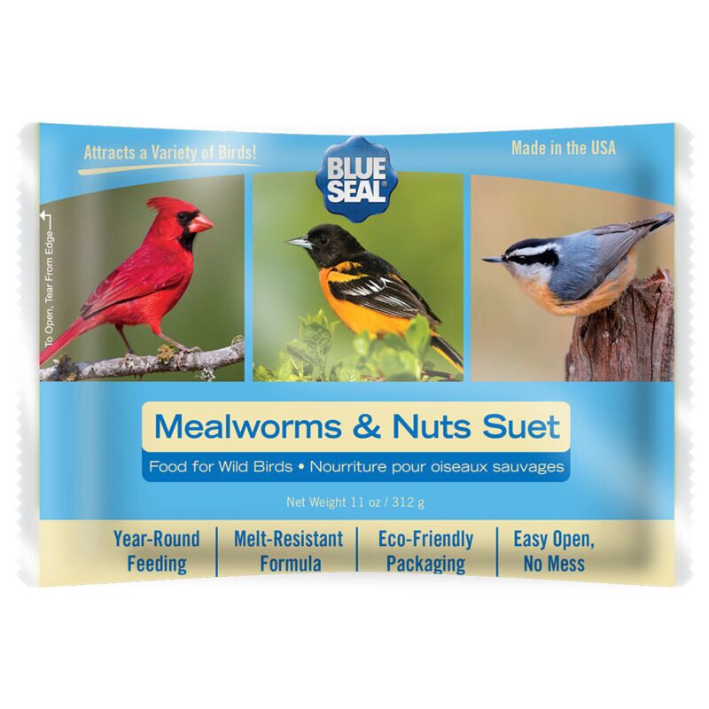 Mealworms & Nuts Suet Cake