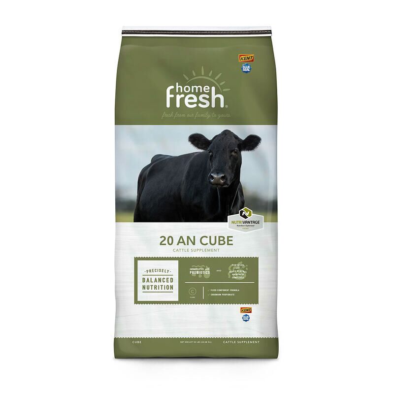 Home Fresh 20 AN Cattle Cube