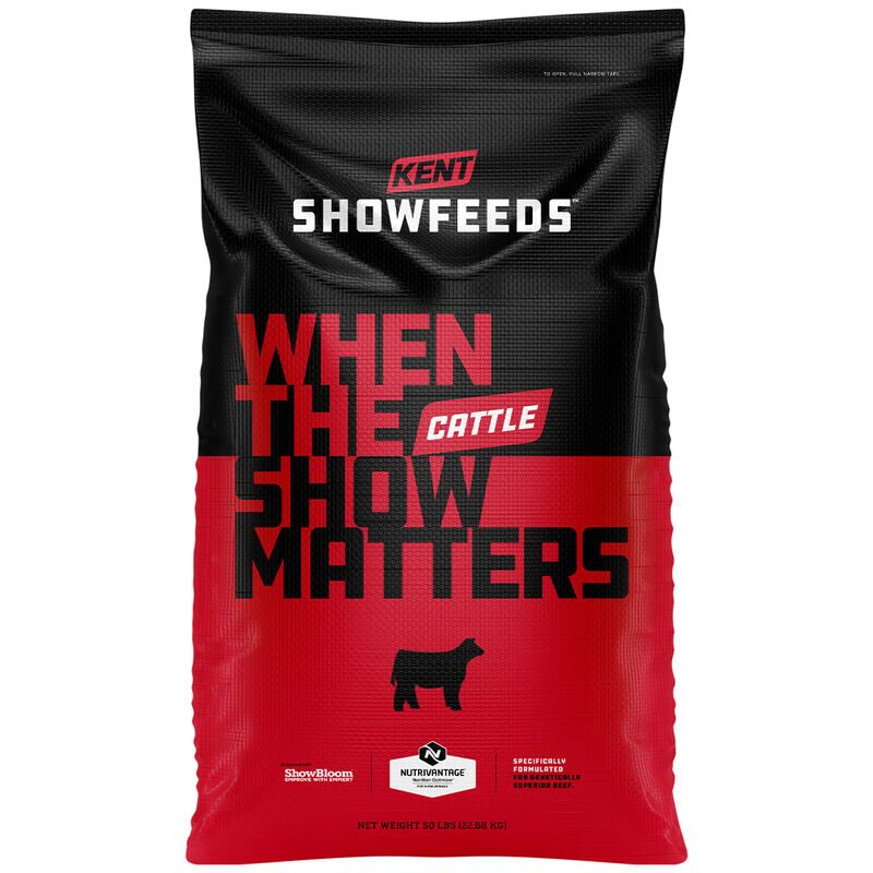 Show Cattle Elevate