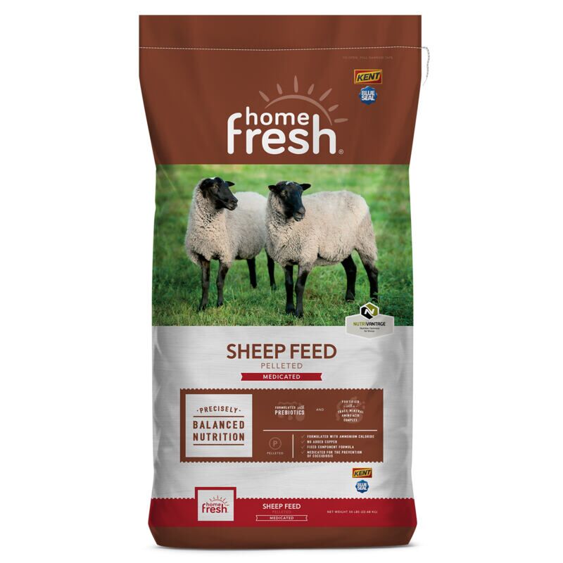 Home Fresh 20 Sheep Starter Grower 45DQ